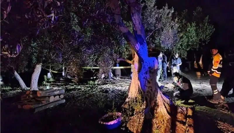 Çiftlikteki Baltalı Olay: Vahşete İlk Tutuklama Gerçekleşti!
