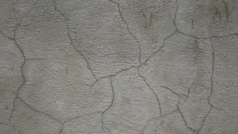 Canlı Beton: Çatlakları Kendi Kendine Onaran İnşaat Devrimi