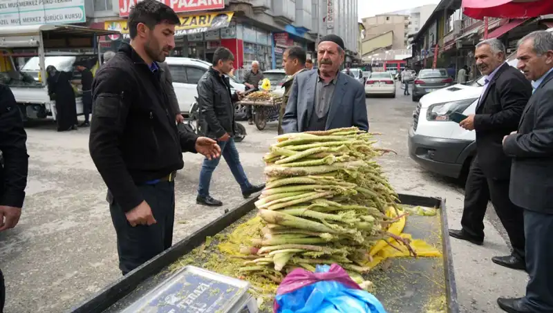 Dağlık Alandan Toplanan Şeker: Kanser ve Mide Hastalıklarına Karşı Umut Oluyor!