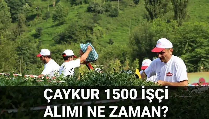 Çaykur İşçi Alımında Son Durum: Başvuru Tarihleri Ne Zaman Açıklanacak?