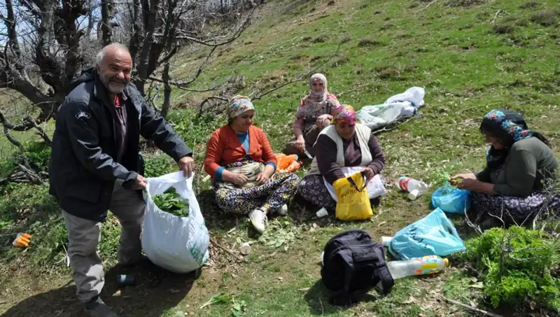 Yürüyerek Günlerce Topladıkları Mantarın Kilosu 250 Lira, Aileler İçin Hayat Kurtarıcı