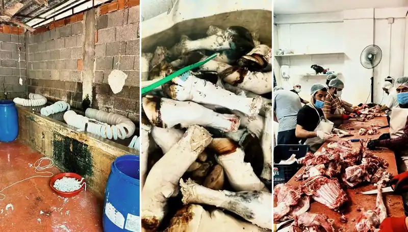 Adana'da Şok Edici Olay: Yüzlerce Kilo Paça Ele Geçirildi!