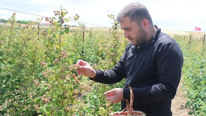 Hobi Olarak Başladığı İşte Şimdi Talebe Yetişemiyor: İlginç Hikaye