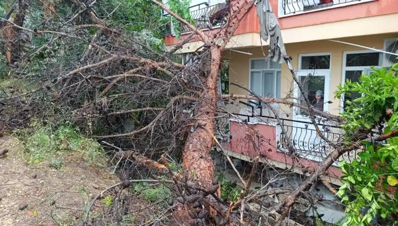 İstanbul'da Yağmurun Kurbanı Olan Bina: Çökmeye Neden Olan Faktörler