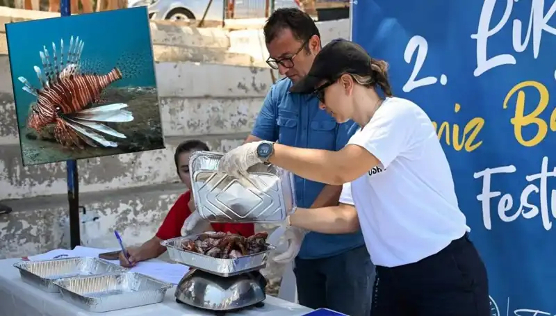 Antalya'da İstilacı Aslan Balığı Avlama Yarışması: Doğa İçin Bir Adım