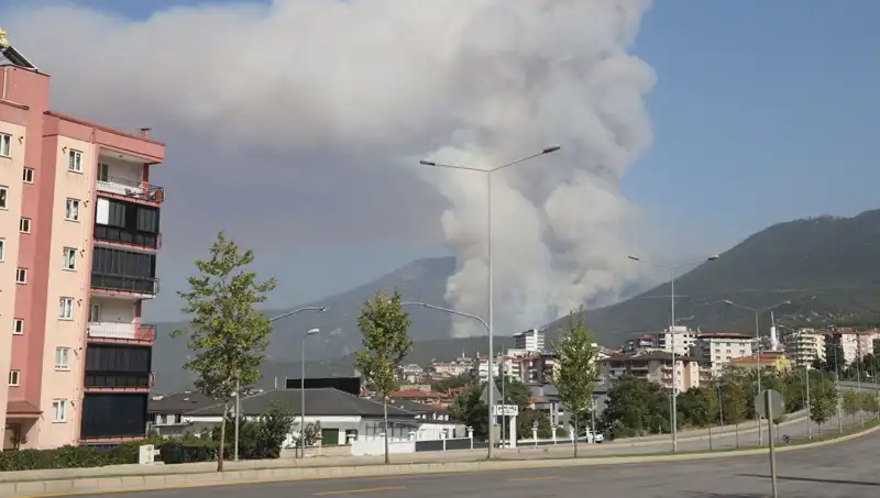 Denizli'de Orman Yangını: Şüpheli Gözaltında, Yangın Kontrol Altına Alındı