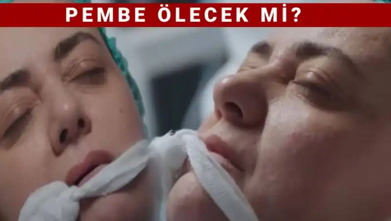 Kızılcık Şerbeti Pembe Karakteri: Sibel Taşçıoğlu Neden Ayrıldı?