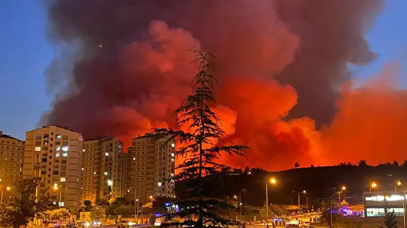 Bursa'da Yangın Alarmı: Şehirdeki Alevler Neden Yükseliyor?
