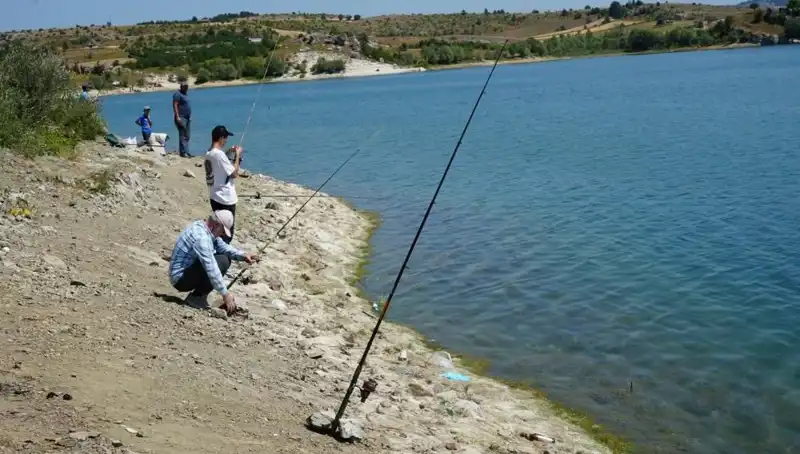 Kafesler Patladı: Baraja Koşanların Nedenleri ve Etkileri