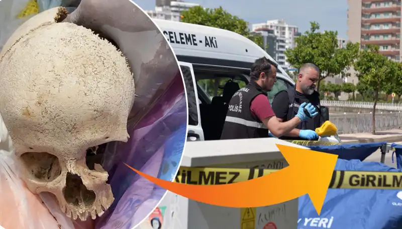 Sitenin Çöpünden Bulunan Kafatasının Gizemi ve Uzman Doktorun Gözaltı Süreci!